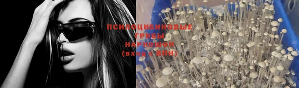 ALPHA PVP Михайловск