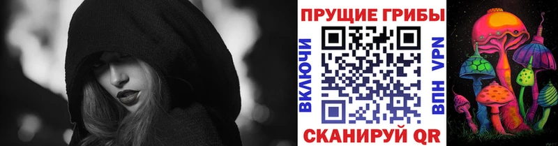 Купить закладки  Минеральные Воды  Галлюциногенные грибы мухоморы 